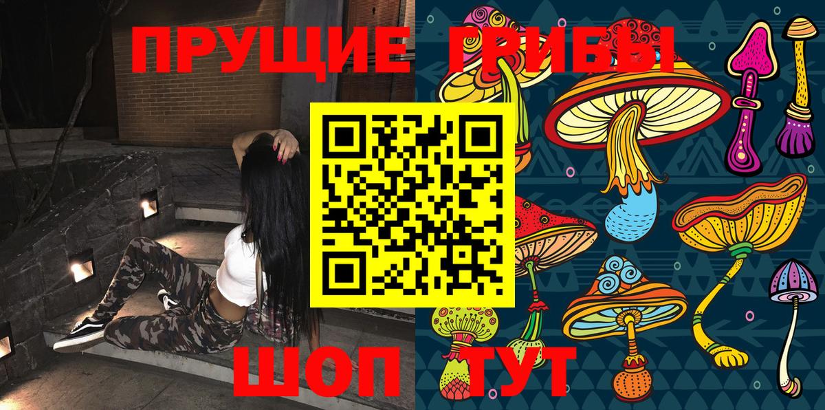 как найти наркотики  Галлюциногенные грибы Cubensis  Псилоцибиновые грибы Psilocybe  Вход с VPN  Пятигорск 