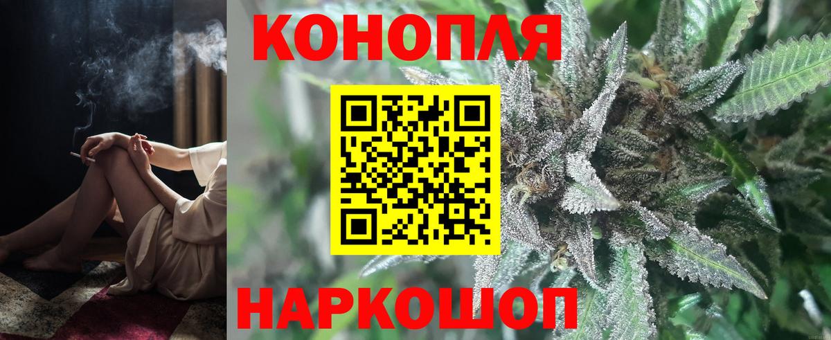Конопля конопля  Бошки Шишки сатива  Шишки марихуана White Widow  Пятигорск  Вход с VPN  Шишки марихуана семена 